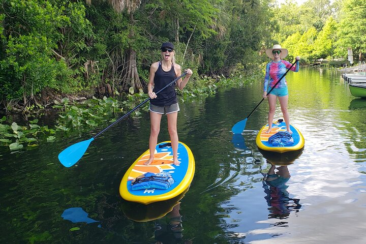 Florida Freshwater Springs Paddle Board Tour - Photo 1 of 8